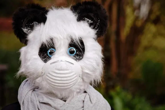 Bet9 Cazino Cazinou Suport